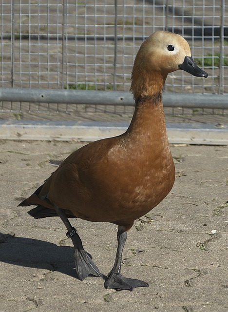 展趋势