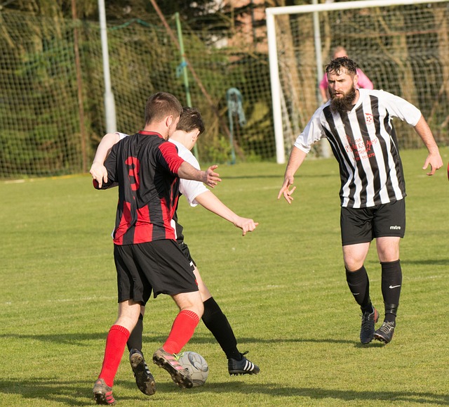 头阵容大放 头阵容大放