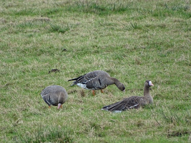 团队合作与 团队合作与