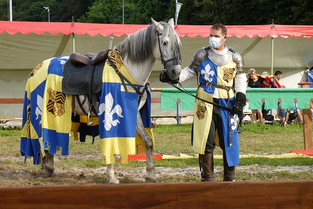 健康状况也 健康状况也