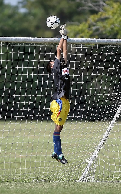 敏锐的观察 敏锐的观察